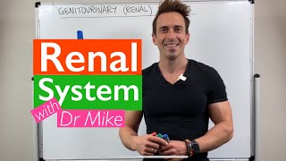 Renal System  Overview [upl. by Barbour]