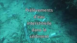 Prélèvements deau interstitielle [upl. by Yetac]