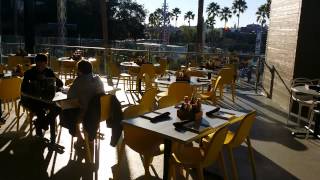 Quick tour of Cowfish Orlando at Citywalk [upl. by Negeam]