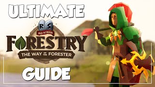 Woodcutting Changed FOREVER In OSRS  Ultimate Forestry Guide New Update [upl. by Suehtomit835]