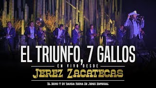 El Triunfo 7 Gallos En Vivo  El Nono Y Su Banda Reina De Jerez [upl. by Gromme]