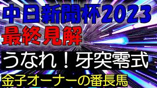 中日新聞杯2023 最終見解 [upl. by Maren399]