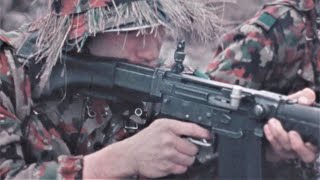 SWISS ARMY 1972 TACTICS Vintage Film quotInfantry Combatquot w Subtitles [upl. by Llenel178]