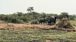 Beautiful family  Narok mahasweta [upl. by Adnawaj]