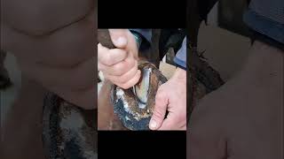 Relaxing Horseshoe Repair  Satisfying Horseshoe Maintenance ASMR part 1 [upl. by Soinski254]