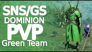 Throne and Liberty SNSGS Dominion pvp green team My combat settings [upl. by Heisel226]