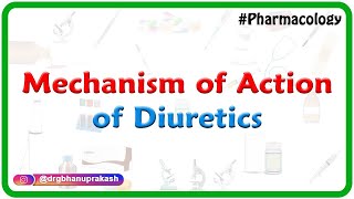 2Mechanism of Action of Diuretics  Renal Pharmacology [upl. by Eitsyrc]