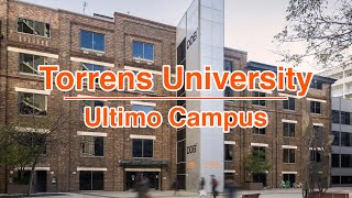 Torrens University Australia │ Ultimo Campus [upl. by Aneehsar916]