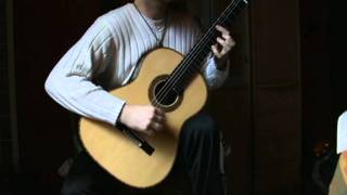 Rumores de la Caleta  Isaac Albéniz  by Jan Depreter guitar [upl. by Nidroj]