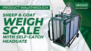 Sheep amp Goat Weigh Scale with SelfCatch Headgate  Product Walkthrough [upl. by Sally]