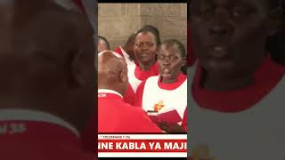 Ukingoni mwa Yordani cathedralofpraise trinitycommon musicgenre music singing [upl. by Tevlev196]