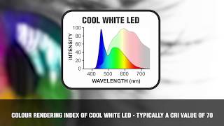 Choosing best driving lights Why would you use a light that decreases your ability to see [upl. by Kerianne]