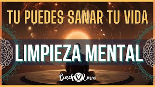 LIMPIEZA MENTAL Tu puedes sanar tu vida 🆓 pazinterior vivirsinmiedo louisehay [upl. by Ansilme]