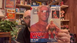 Lets take a closer look at the WCW Galoob Wrestling Figures Series 1 The US Releases [upl. by Jones]