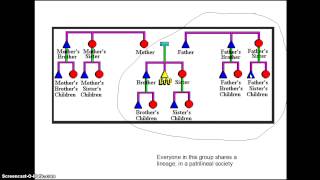 Kinship presentation [upl. by Eittel]