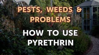 How to Use Pyrethrin [upl. by Sari171]