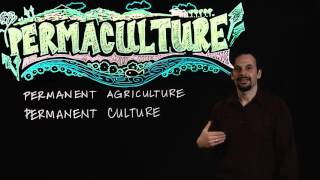 What is Permaculture [upl. by Stegman]