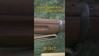 A Rifle Story US Model 1917 [upl. by Osicnarf]