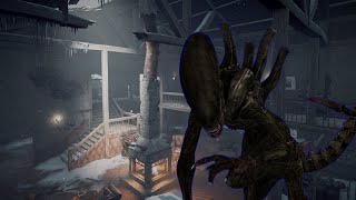 Xenomorph Gameplay in Ormond  DBD [upl. by Ferri625]