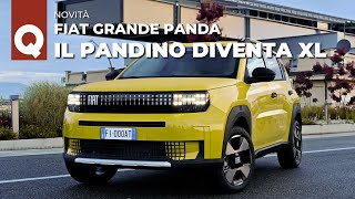 FIAT GRANDE PANDA 2024  Ora è “PANDONA” lunga 399 mt da 15000 euro  Motori stile e PREZZI [upl. by Ossie971]