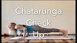 How to Plank to Chaturanga to Up Dog  Vinyasa Yoga Tips [upl. by Laehcimaj]