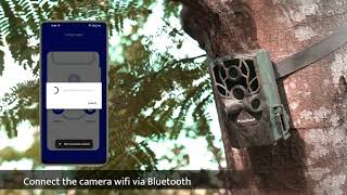 USOGOOD 4K 48MP WiFi TC80 Wildlife Camera Connection WiFi Video [upl. by Trina]