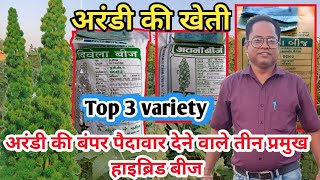 अरंडी टॉप 3 किस्म  arandi ki kheti arandi ki top variety [upl. by Amedeo]