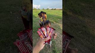 Yummy Bites Jack amp Jill DEWBERRY Sandwich Cookies🍪eating by villagee viralvideo satisfying fyp [upl. by Aelam]