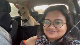 Kolkata to Siliguri by road with dog in i20 [upl. by Othelia]