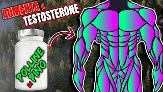 POLLINE di PINO  lUNICO INTEGRATORE NATURALE di TESTOSTERONE che Contiene VERO TESTOSTERONE [upl. by Aisatnaf996]