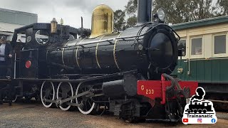 Leschenault Lady at South West Rail Heritage Centre  shorts [upl. by Ashil]