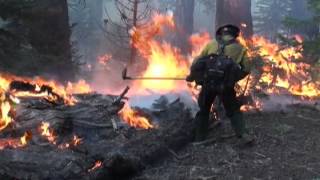 Wildland Fire Recruiting Video [upl. by Katleen807]