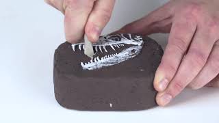 National Geographic  Dino Fossil Dig Kit [upl. by Franck]