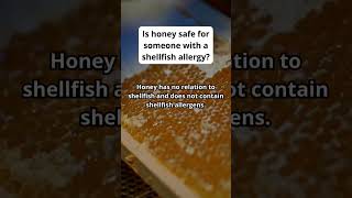 Is Honey Safe for Someone with A Shellfish Allergy Budi Mulyono [upl. by Aisatsan]