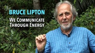 Bruce Lipton We Communicate Through Energy [upl. by Alsi]