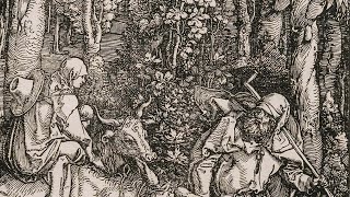 Albrecht Dürer the printmaker  National Gallery [upl. by Tnerual]