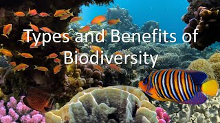 Types and Benefits of Biodiversity [upl. by Ekez]