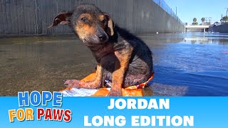 Jordans Journey  The extended version dog [upl. by Eniamreg]