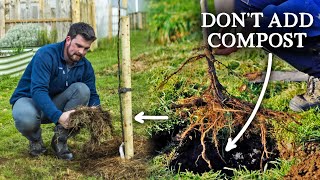 How to Plant a BareRoot Fruit Tree  Zero Fertility Method [upl. by Ettenauq]