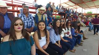 Lo Mejor de Los Coleaderos en Lienzo Charro Pepe Quezada Feria Regional Jalpa 2017 [upl. by Prem]