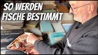 Fischarten bestimmen mit Fred Rosenau [upl. by Revilo781]