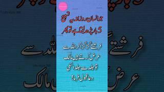 Powerful wazifa  hr cheez ka ilaj Quran pak ki ayat sy [upl. by Garnette]