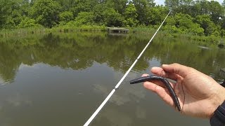 How To Fish a Senko for Bass by 1Rod1ReelFishing [upl. by Nehtanoj]