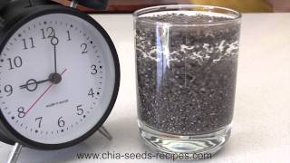 Watch Chia Seed Expanding in Time Lapse [upl. by Sivie]