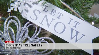 Upstate fire department weighs in on Christmas tree safety [upl. by Nnylamme]