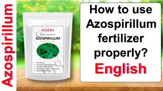 How to use Azospirillum fertilizer properly  English [upl. by Aerbas290]