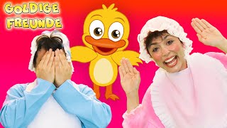 🫣 🎈 Guck Guck Kinderlied NEU 🎈 🫣  Kinderlieder Zum Mitsingen  Goldige Freunde [upl. by Starla995]