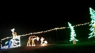 Christmas Tree Farm and Christmas Light Hayride Southern California December 2023 Los Angeles area [upl. by Karlis]