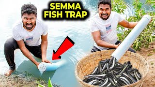 Catch Tons of Fish With This Simple PVC Pipe Trick [upl. by Adnilemre117]