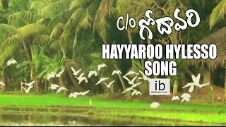 Co Godavari  Hayyaroo Hylesso song  Rohit S  Shruthi Varma  idlebraincom [upl. by Aram]